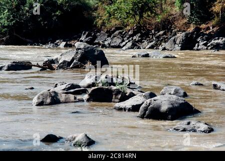 Alligators resting on rocks in the river at Awash Falls in Afar, Northern Ethiopia. Stock Photo