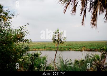 Natural hot spring oasis at Doho Safari Lodge in the Afar Region of Ethiopia. Stock Photo