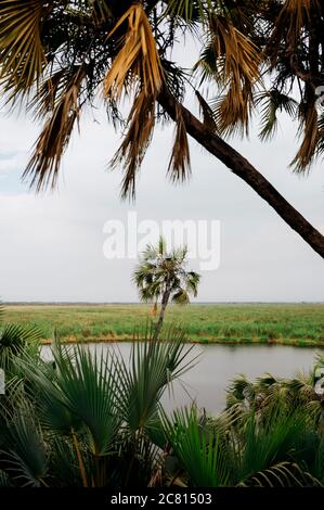 Natural hot spring oasis at Doho Safari Lodge in the Afar Region of Ethiopia. Stock Photo