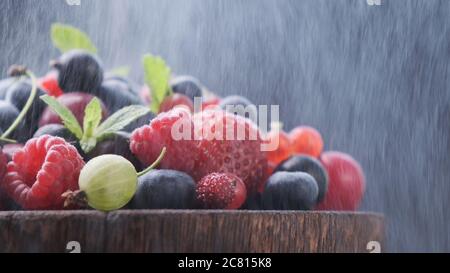 Mix of wild forest berries on black background with water mist Stock Photo