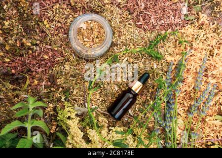 Bottles of tincture or oil and dry healthy healing herbs. Herbal medicine, aromatherapy essential oil bottle, top view, close up Stock Photo