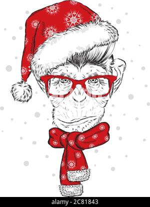 Funny monkey with glasses, hat and scarf. Vector illustration. Scarf, hat and glasses. Postcard or poster. Print on clothes. New Year's and Christmas. Stock Vector