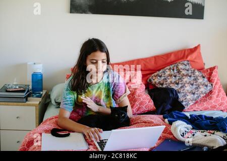 Tween girl works on her laptop for school with her cat on her lap Stock Photo