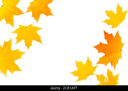 Nice border made from color falling maple leaves Stock Photo