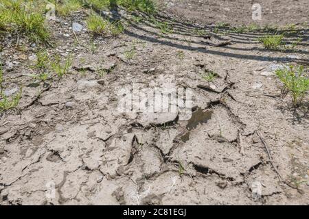Bone dry cracked mud by the gated entrance (shadow) to a field in a hot summer heatwave spell in UK. For water shortage, parched soil, drought in UK. Stock Photo