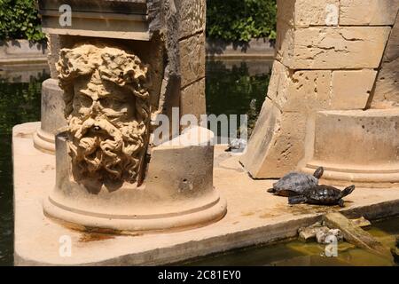 Attard. Malta. San Anton Gardens. Limestone sculpted waterfountain in the middle of the pond. Waterturtles. Stock Photo