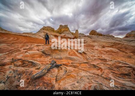 Hiker on the amazing rock and sandstone formations of White Pocket; Arizona, United States of America Stock Photo