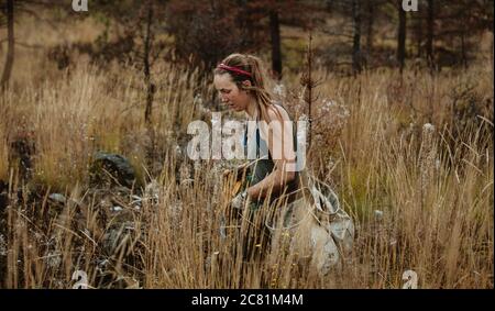 Woman working in forest to plant new trees, walking through dry grass carrying pouches of new seedlings. Woman working in forestry planting trees. Stock Photo