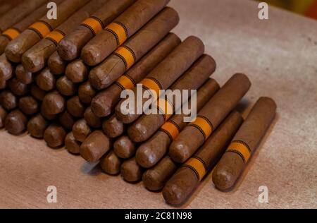 Cuban cigars close up on wooden table. Side view of a cigars bunch. Handmade cigars in the shop Stock Photo