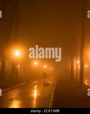 Lonely man walk by foggy park alley in the evening. Kyiv, Ukraine Stock Photo