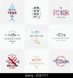 Premium Quality Retro Fish Vector Signs or Logo Templates Set. Hand Drawn Vintage Fish Sketches with Classy Typography, Tuna, Trout, Salmon, Herring Stock Vector