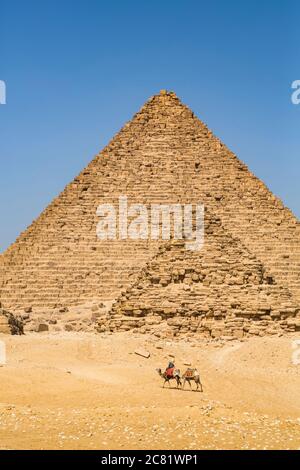 Local man with camels, Great Pyramid of Giza, Giza Pyramid Complex, UNESCO World Heritage Site; Giza, Egypt Stock Photo