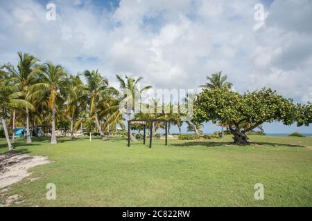 Christiansted, St. Croix, USVI-September 23,2019: Tamarind Reef Resort beachfront greenery on St. Croix in the Tropical US Virgin Islands. Stock Photo