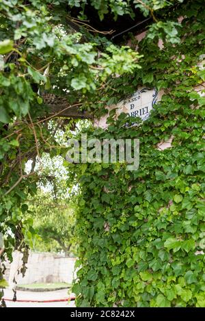 Colonia del Sacramento / Uruguay; Jan 2, 2019: plaque with the text Paseo de San Gabriel, (Saint Gabriel riverside walk) surrounded by vines. Historic Stock Photo