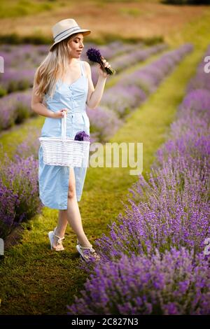 Blonde girl on a lavender field in a straw hat and blue dress. Stock Photo