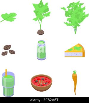 Parsley icons set, isometric style Stock Vector