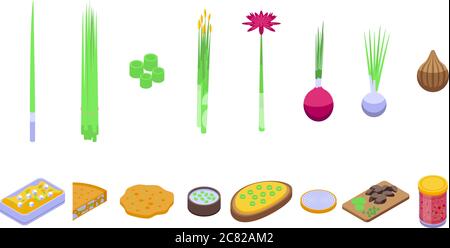 Chives icons set, isometric style Stock Vector