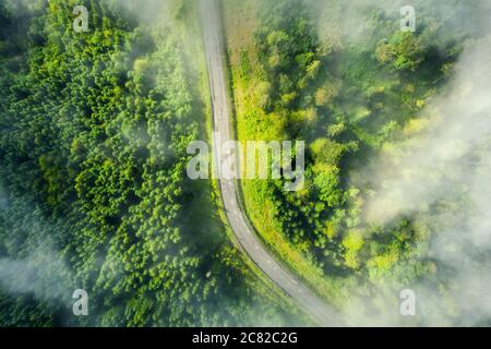 Aerial view of road in beautiful green forest in low clouds Stock Photo