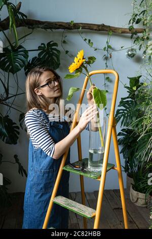 Small business. Florist woman surrounded by tropical plants pulls out a single flower of sunflower from a vase to cut the stem with scissors, standing Stock Photo