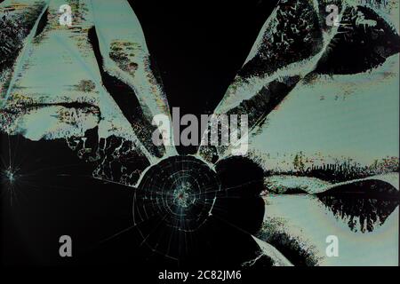 broken lcd tft tn screen flat macro texture with crystal leakage and physical damage cracks Stock Photo
