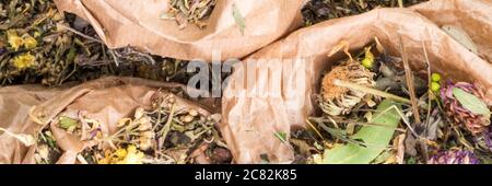 mix of healing herbs in eco zero waste paper bags, close up, herbal medicine, top view. Flat lay. Stock Photo