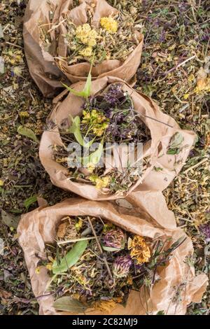 mix of healing herbs in eco zero waste paper bags, close up, herbal medicine, top view. Flat lay. Stock Photo