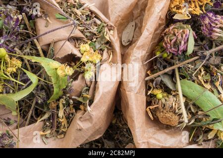 mix of healing herbs in eco zero waste paper bags, close up, herbal medicine, top view. Flat lay. Stock Photo