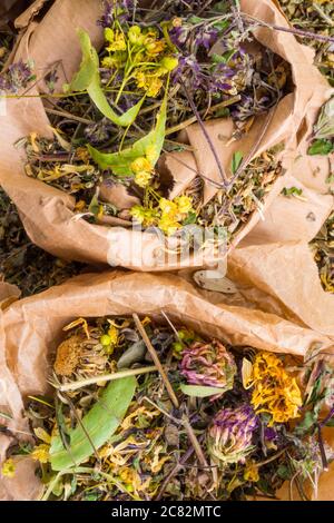 mix of healing herbs in eco zero waste paper bags, close up, herbal medicine, top view. Flat lay. Stock Photo