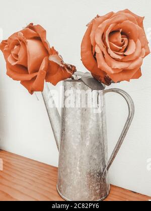 Flower decor autumn in christmas Stock Photo