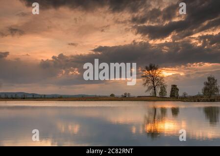 Silhouette tree at sunset in lake in summer Stock Photo