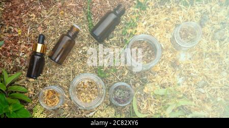 Bottles of tincture or oil and dry healthy healing herbs. Herbal medicine, aromatherapy essential oil bottle, top view, close up Stock Photo