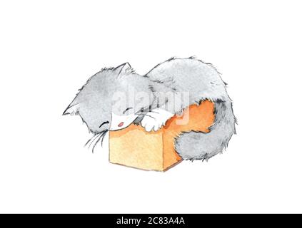 black and white kitten sleeping in a small cardboard box. watercolor hand painting for decoration in pet artwork advertising. Stock Photo