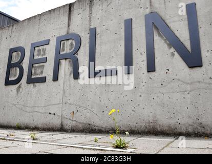Berlin, Germany. 03rd July, 2020. The word 'Berlin' is attached to a concrete wall in front of a university building of Freie Universität in Dahlem. In front of it, a yellow flower grows from the pavement. It is part of the lettering 'Freie Universität Berlin'. Credit: Jens Kalaene/dpa-Zentralbild/ZB/dpa/Alamy Live News Stock Photo