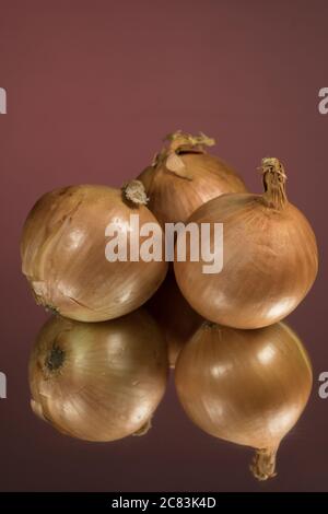 Three whole onion on red a background Stock Photo