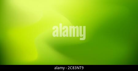 Abstract nature green blurred background with space for your text. Vector illustration Stock Vector
