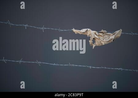 Old rag is hanging on a metal barbed line on a grey background. Stock Photo