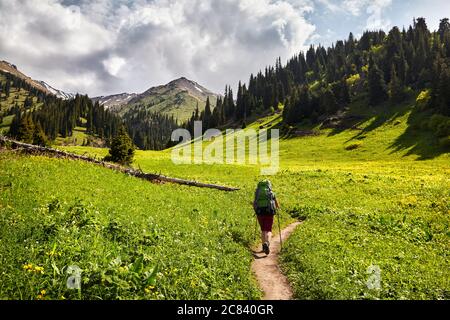 Woman tourist with backpack is walking in the green mountain valley with snowy peaks and cloudy sky background Stock Photo