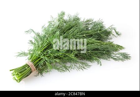 Bunch of fresh dill isolated on white background Stock Photo
