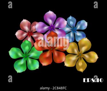 Vector illustration of six beautiful multicolored flower on a black background. Stock Vector
