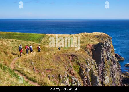 Hikers walking on the coastal path of St. Abb's Head peninsular  in the Scottish Borders Stock Photo