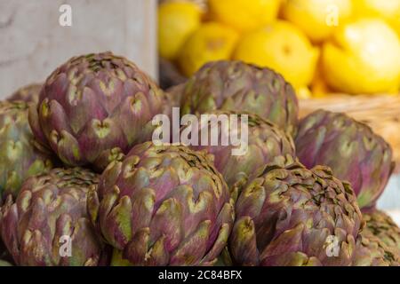 Fresh big Romanesco artichokes, green purple flower heads on a market place. Stock Photo