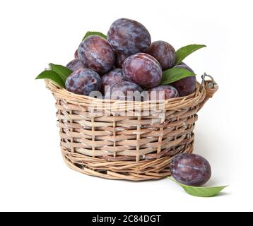 Fresh plums with leaves isolated on white Stock Photo