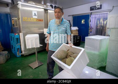 (200721) -- BEIJING, July 21, 2020 (Xinhua) -- Lu Yee Thing, a durian farm owner, shows frozen durians in Raub, Pahang, Malaysia, July 4, 2020. (Photo by Chong Voon Chung/Xinhua) Stock Photo
