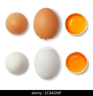 White and yellow eggs aerial view, white background Stock Photo