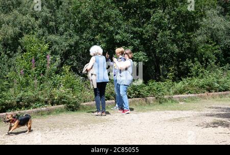 Toys Hill, Kent, UK. 21st July, 2020. Three People take photos of the spectacular view from Toys Hill. The forecast is 19C with sunny intervals and a moderate breeze and is forecast to continue for the rest of the week. Credit: Keith Larby/Alamy Live News Stock Photo