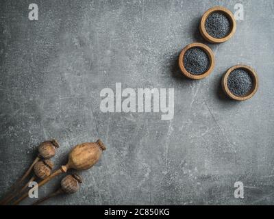 Dry poppy heads and poppy seeds in wooden bowls. Overhead shot with copy space. Stock Photo