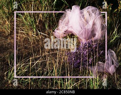 Grass field with scarf and bouquet of wild flowers background with purple border. The view from the top. Stock Photo