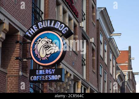 Amsterdam, Netherlands - January 15 2019: Outside the world famous 'The Bulldog' coffee shop in the De Wallen Red Light District of Amsterdam. Stock Photo