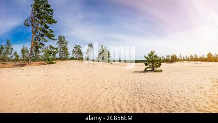 Kaibaldi nõmm, sandy area in Hiiumaa, Hiiu County Estonia. Pihla-Kaibaldi Nature Reserve, natural wonder in pine tree forest. Stock Photo