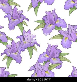 Iris flower graphic color seamless pattern background sketch illustration vector Stock Vector